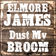 The Sun Is Shining by Elmore James album cover