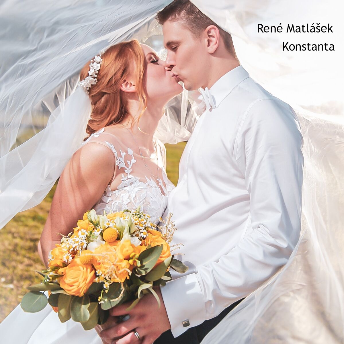 Album cover of Konstanta
