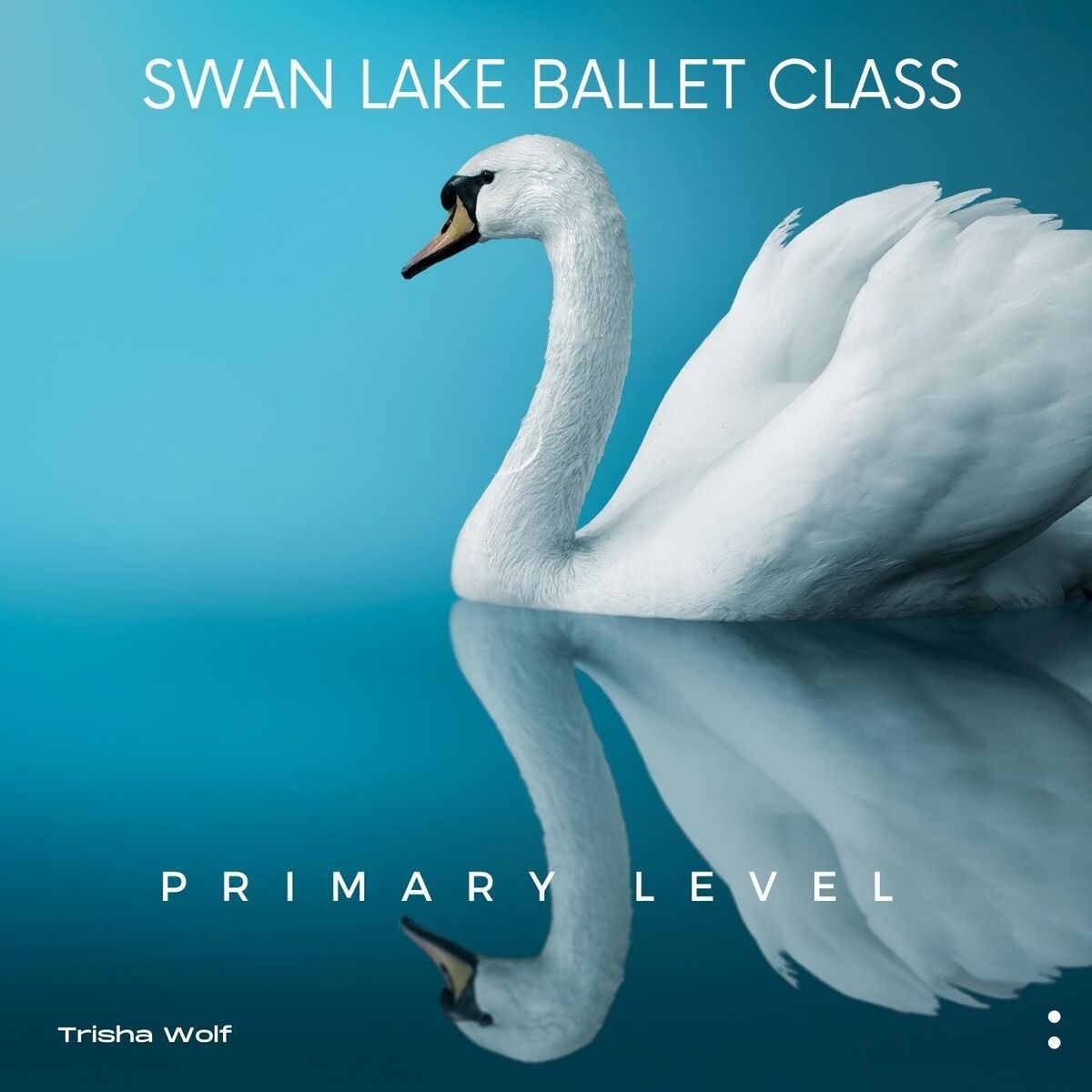 Album cover of Swan Lake Ballet Class: Primary Level