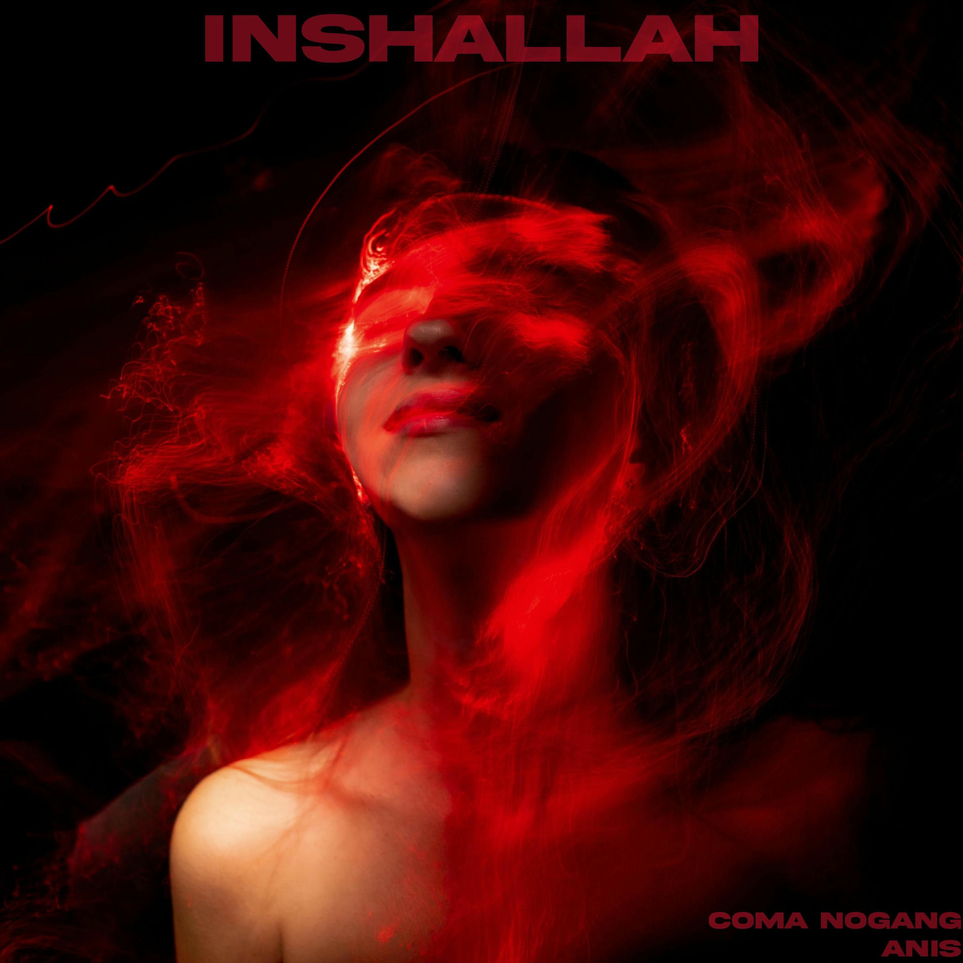 Album cover of INSHALLAH (feat. Anis)