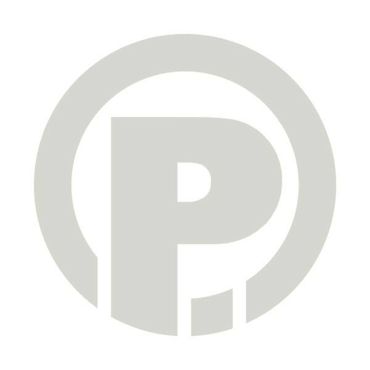 Album cover of P ... Or Different Songs in Different Sounds