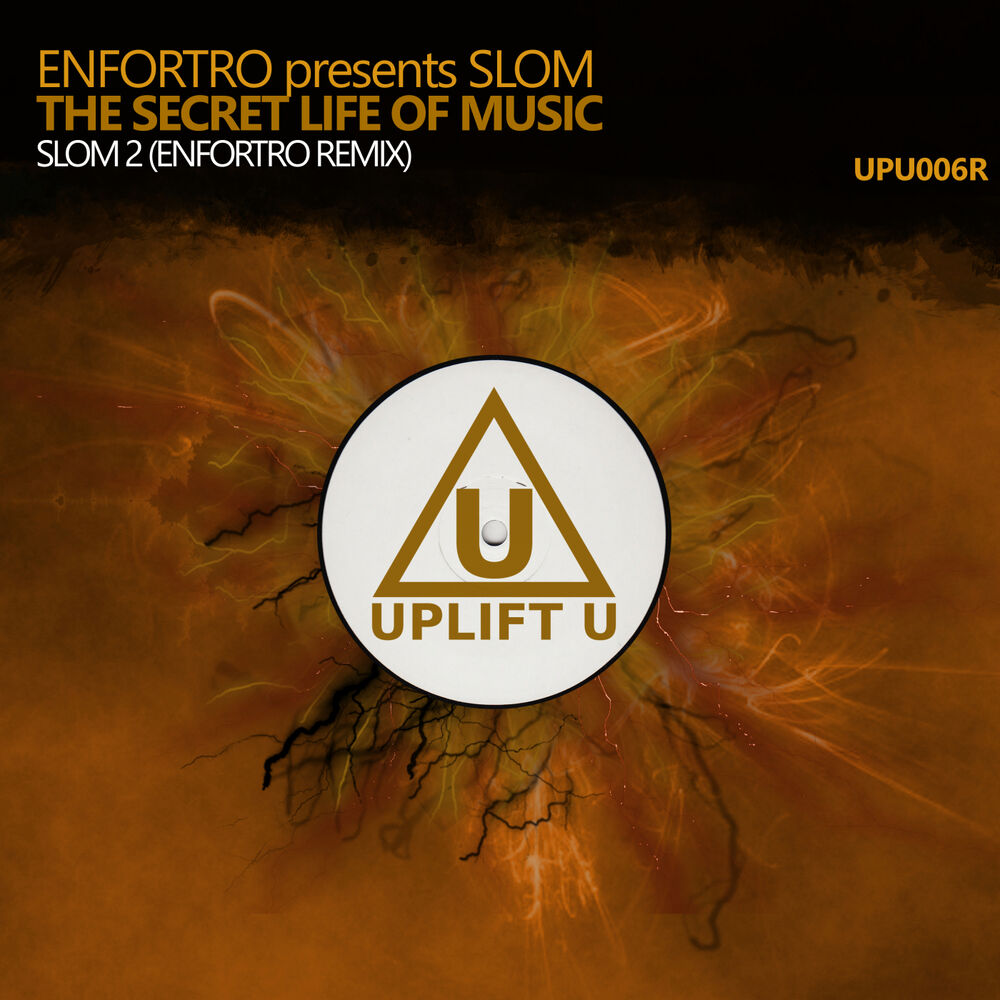 Picture of The Secret Life Of Music (Enfortro Remix)