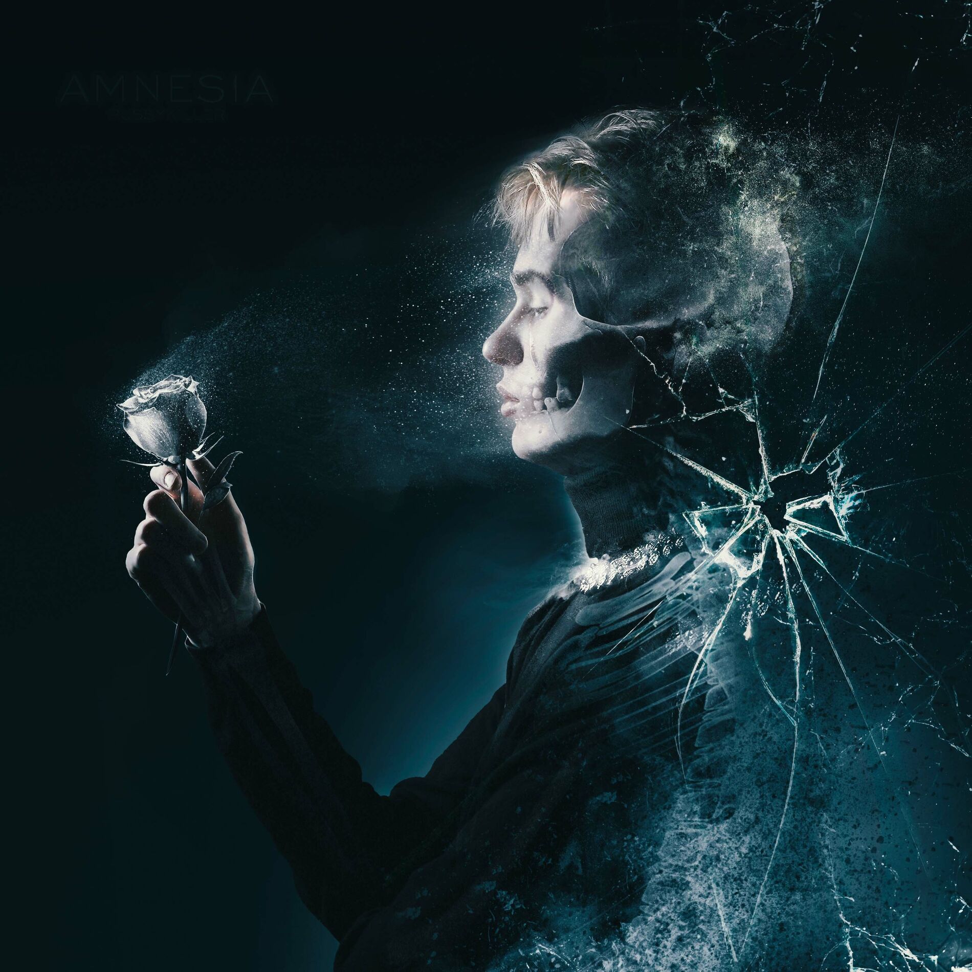 Album cover of AMNESIA