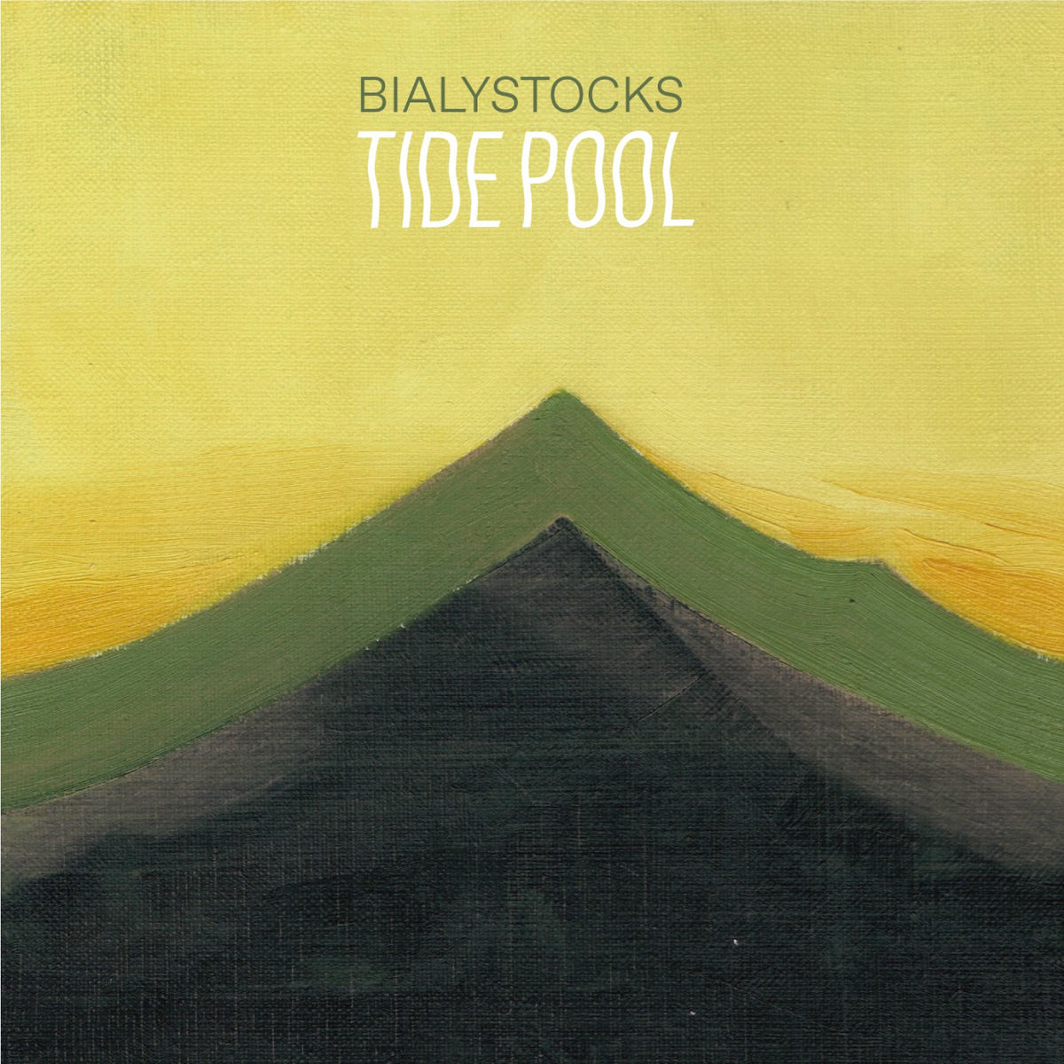 Bialystocks TIDEPOOL QUICKSAND LP2枚セット Bialystocks TIDEPOOL QUICKSAND LP2枚セット Bialystocks TIDEPOOL