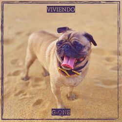 Cover of Viviendo