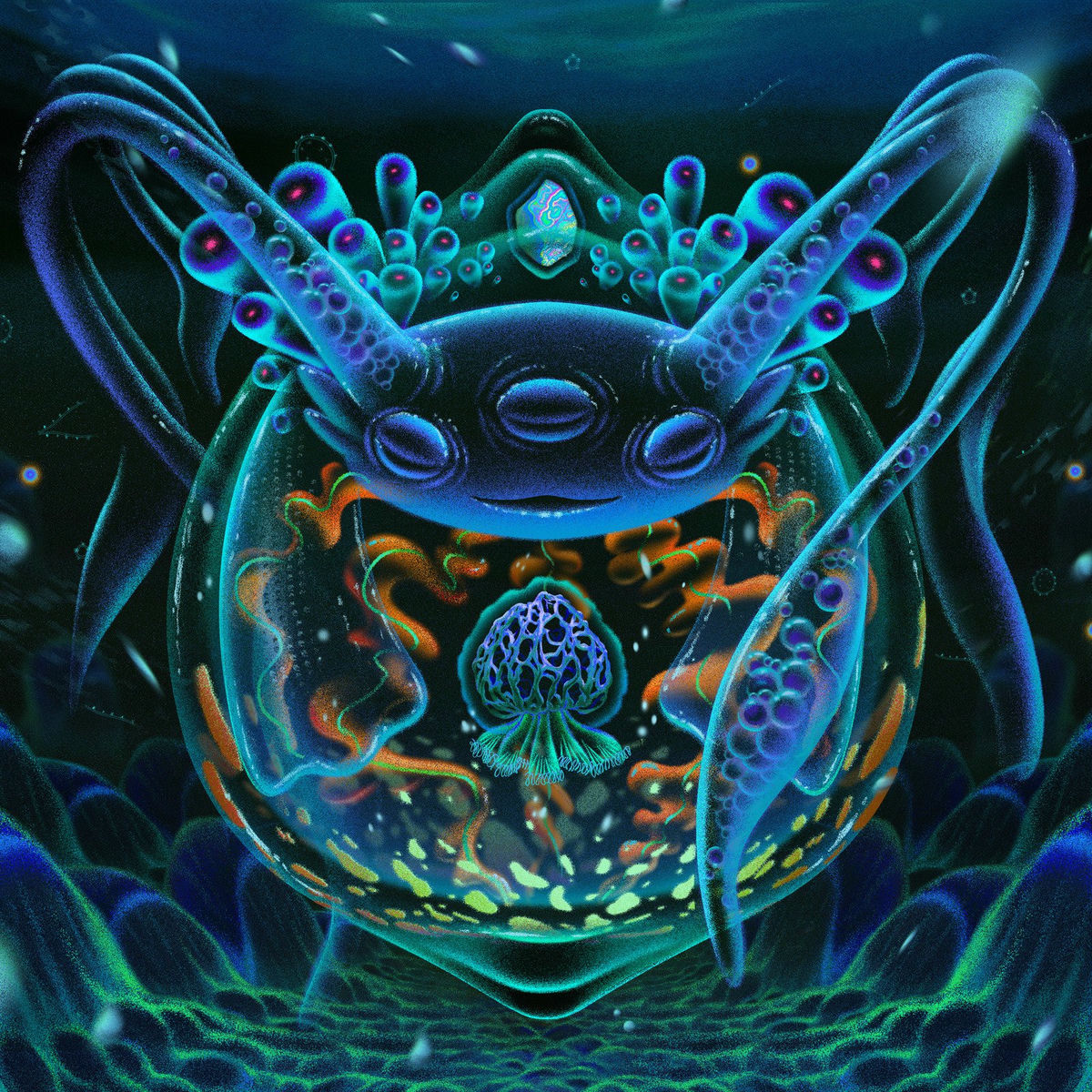 Album cover of Oquo