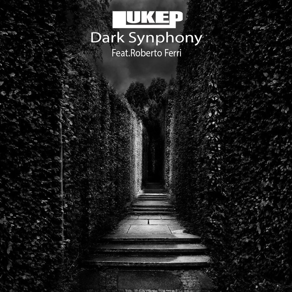 Picture of Dark Synphony