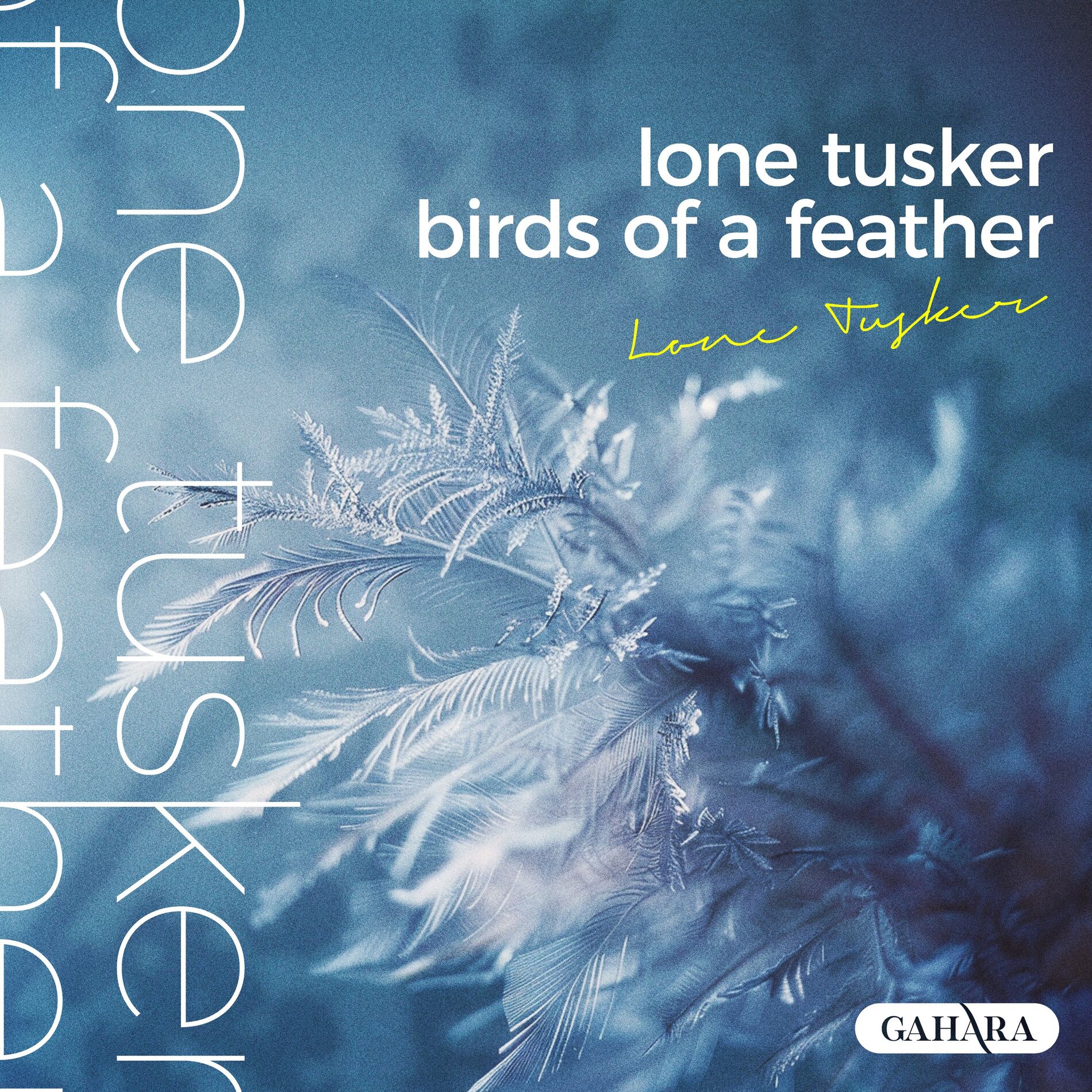 Album cover of Birds Of A Feather