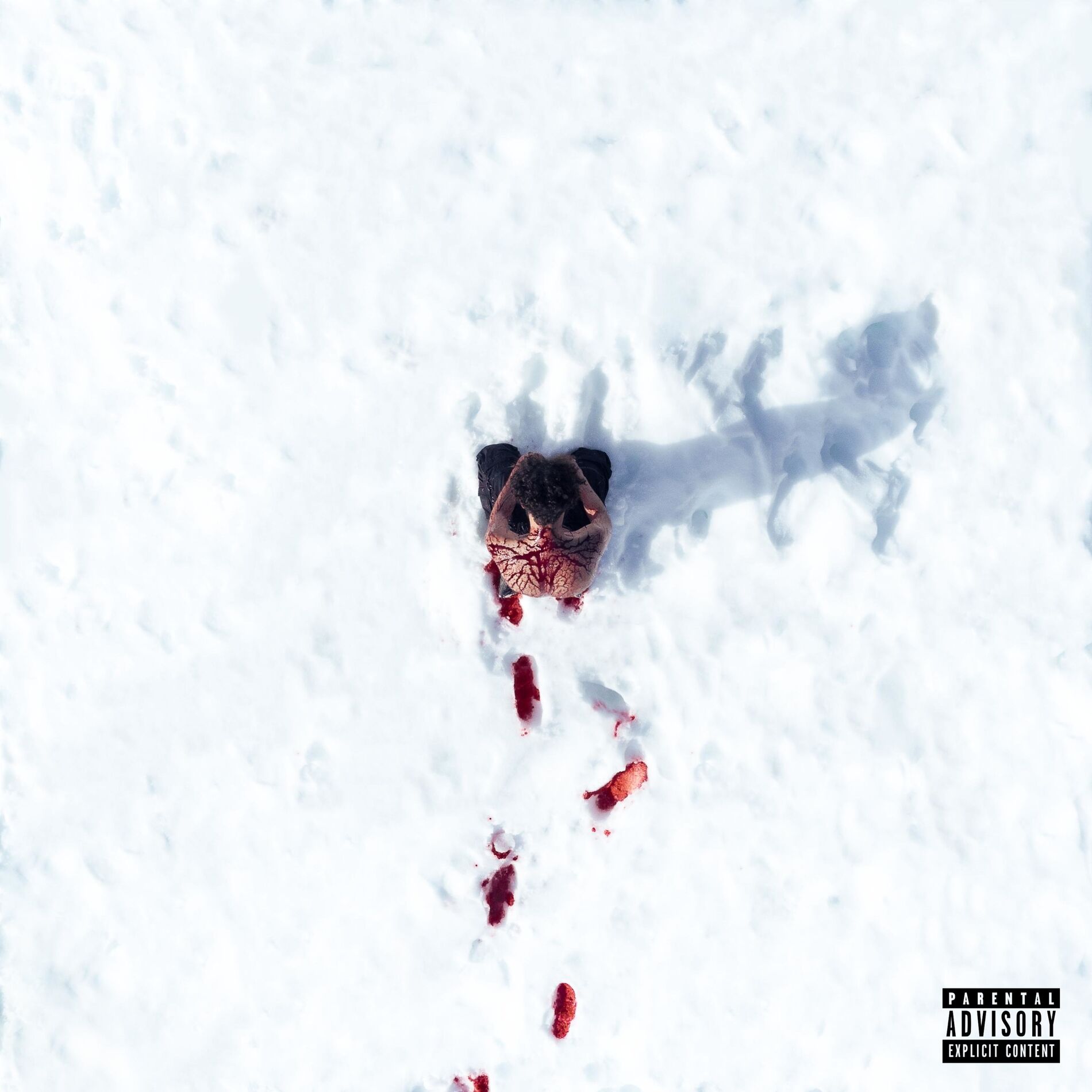 Album cover of E.C.H.O