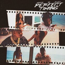 Cover of Perfect Timing