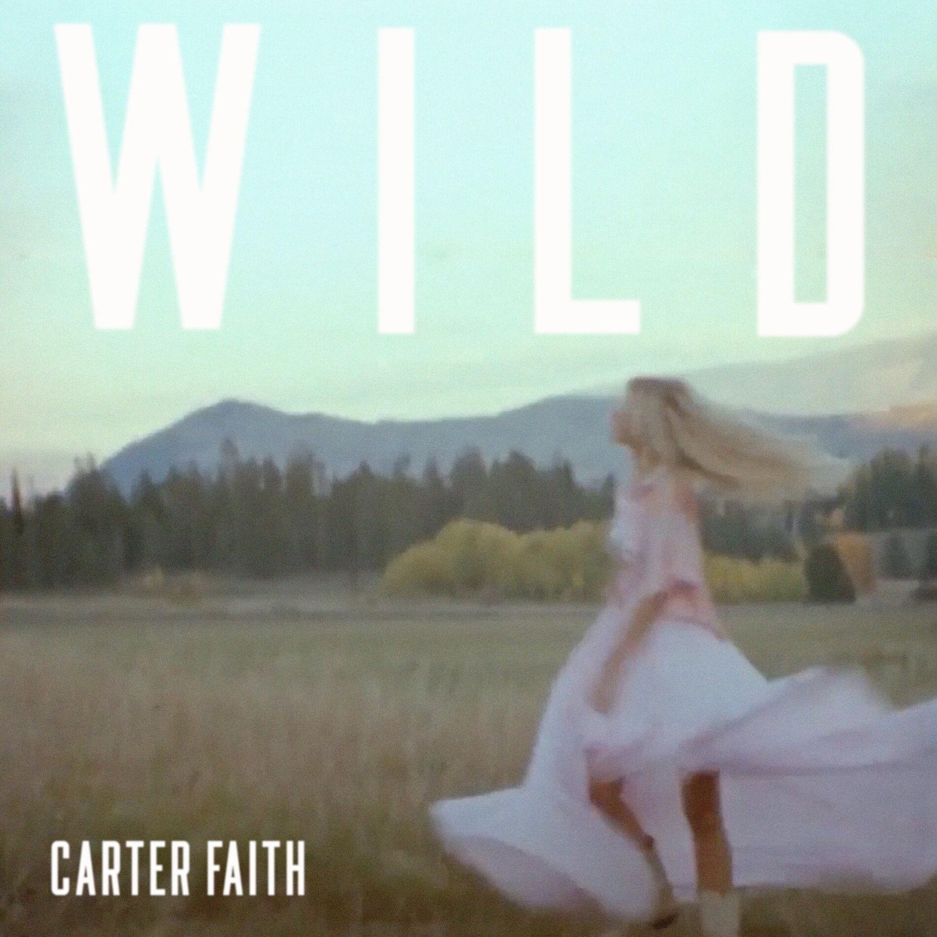 Album cover of Wild