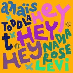 Cover of Hey Hey Hey