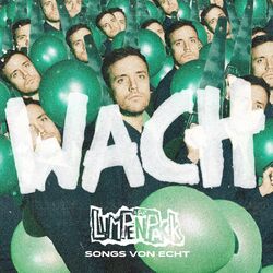 Cover of Songs von Echt
