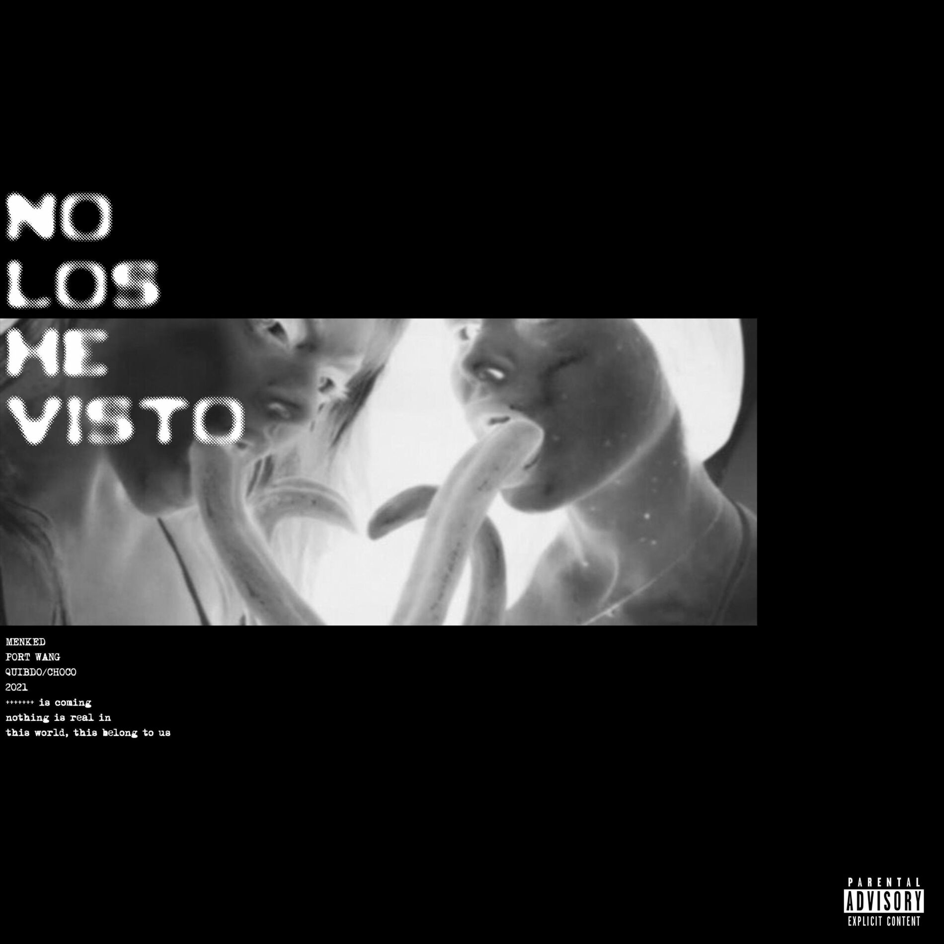 Album cover of NLHV