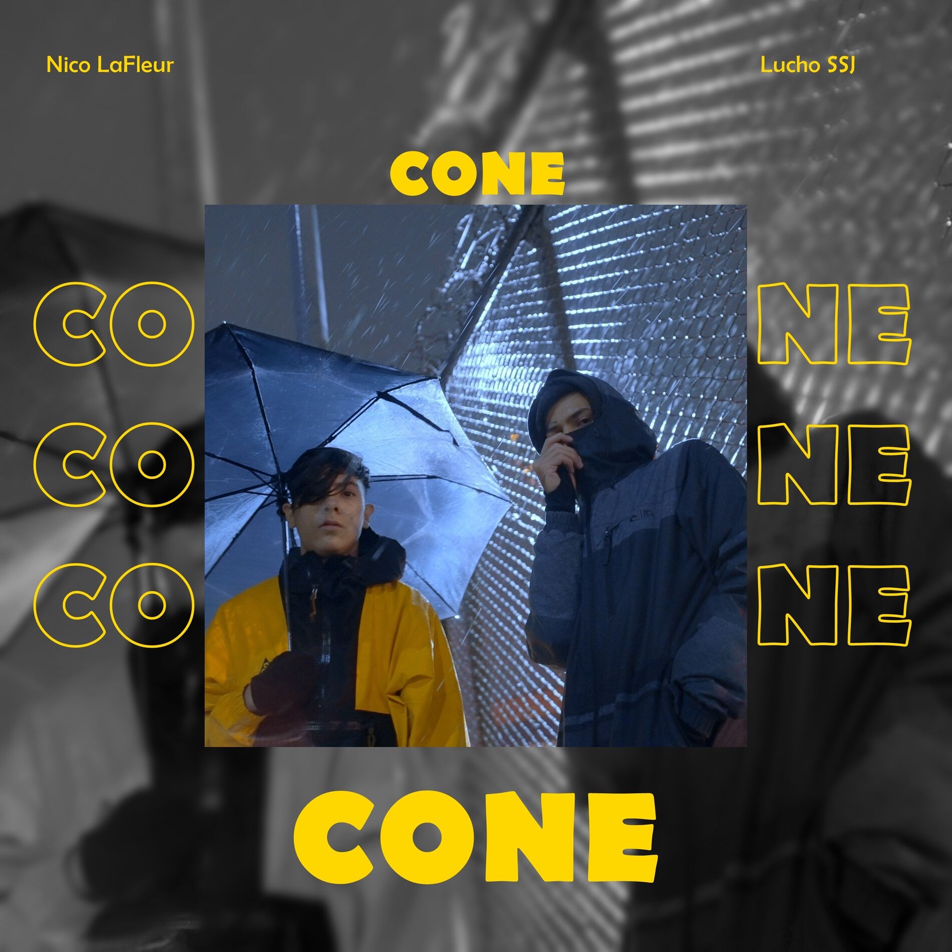 Album cover of Cone