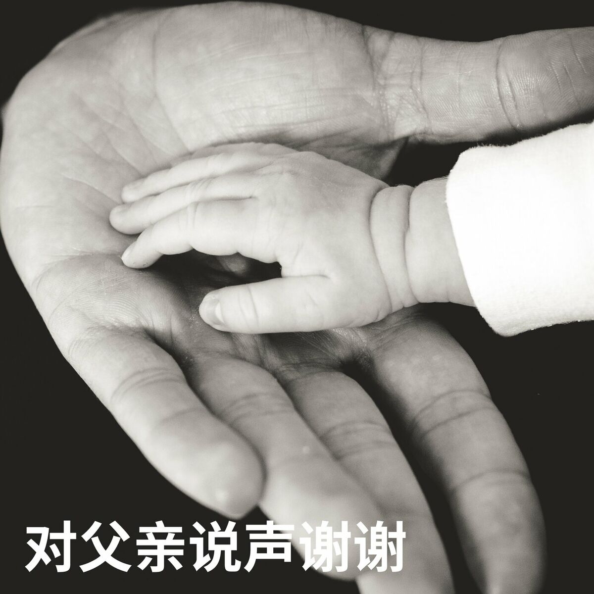 Album cover of dui fu qin shuo sheng xie xie