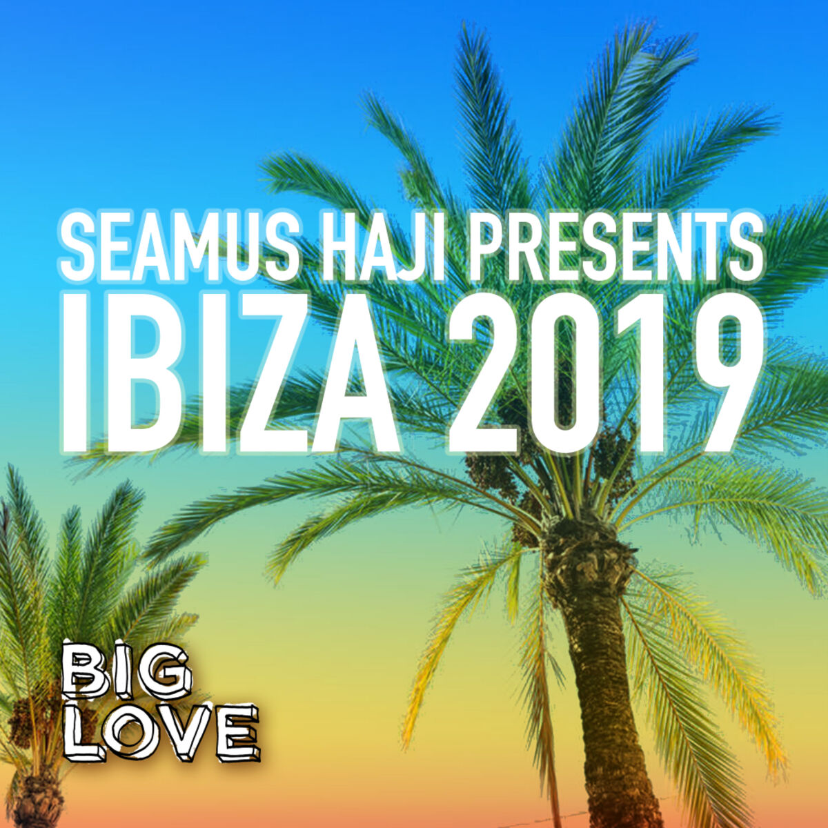 Album cover of Seamus Haji Presents Ibiza 2019