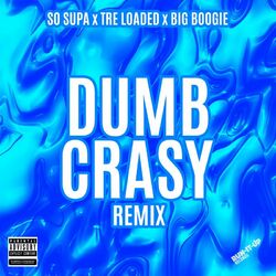 Cover of Dumb Crasy (Remix)