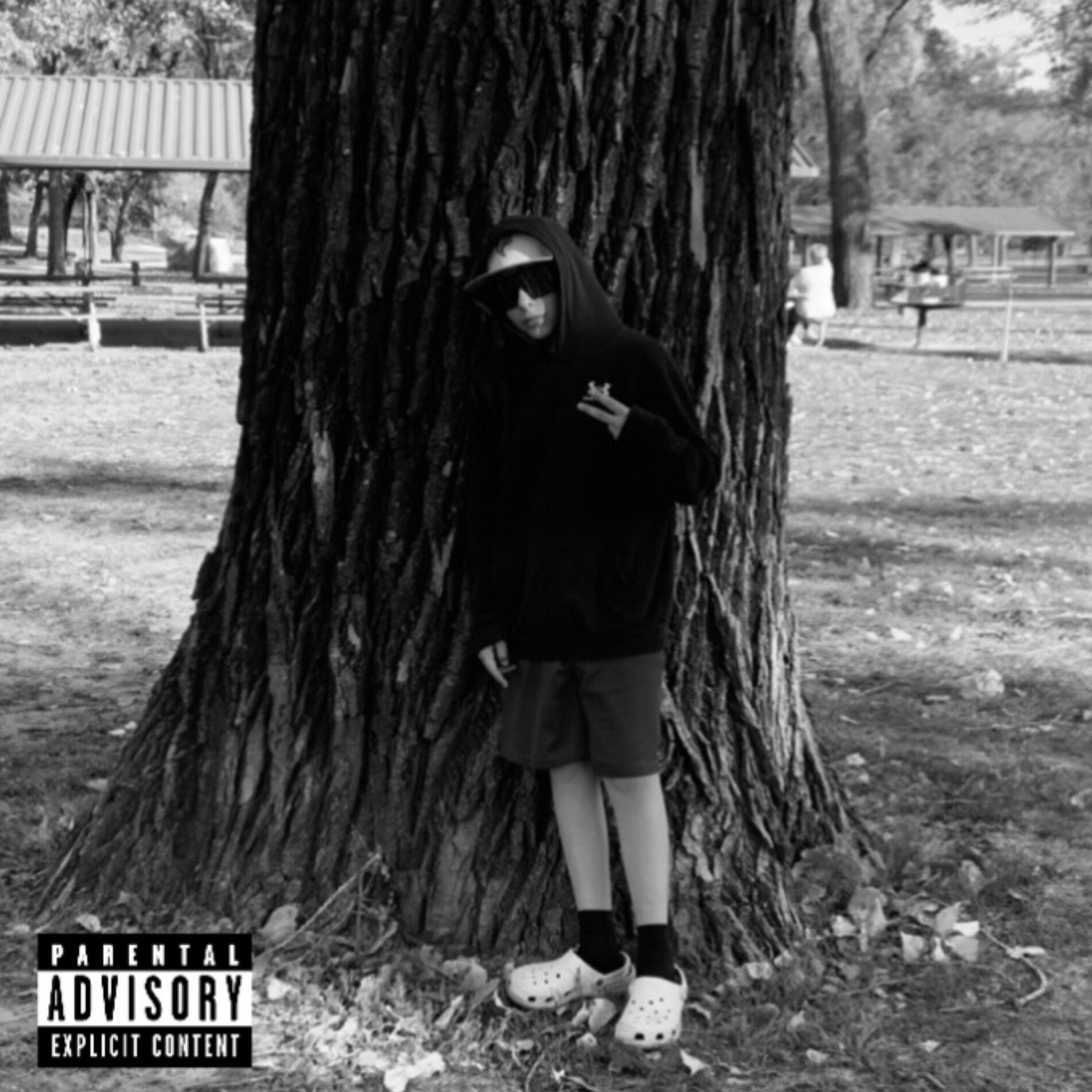 Album cover of LIGHTER LOAD