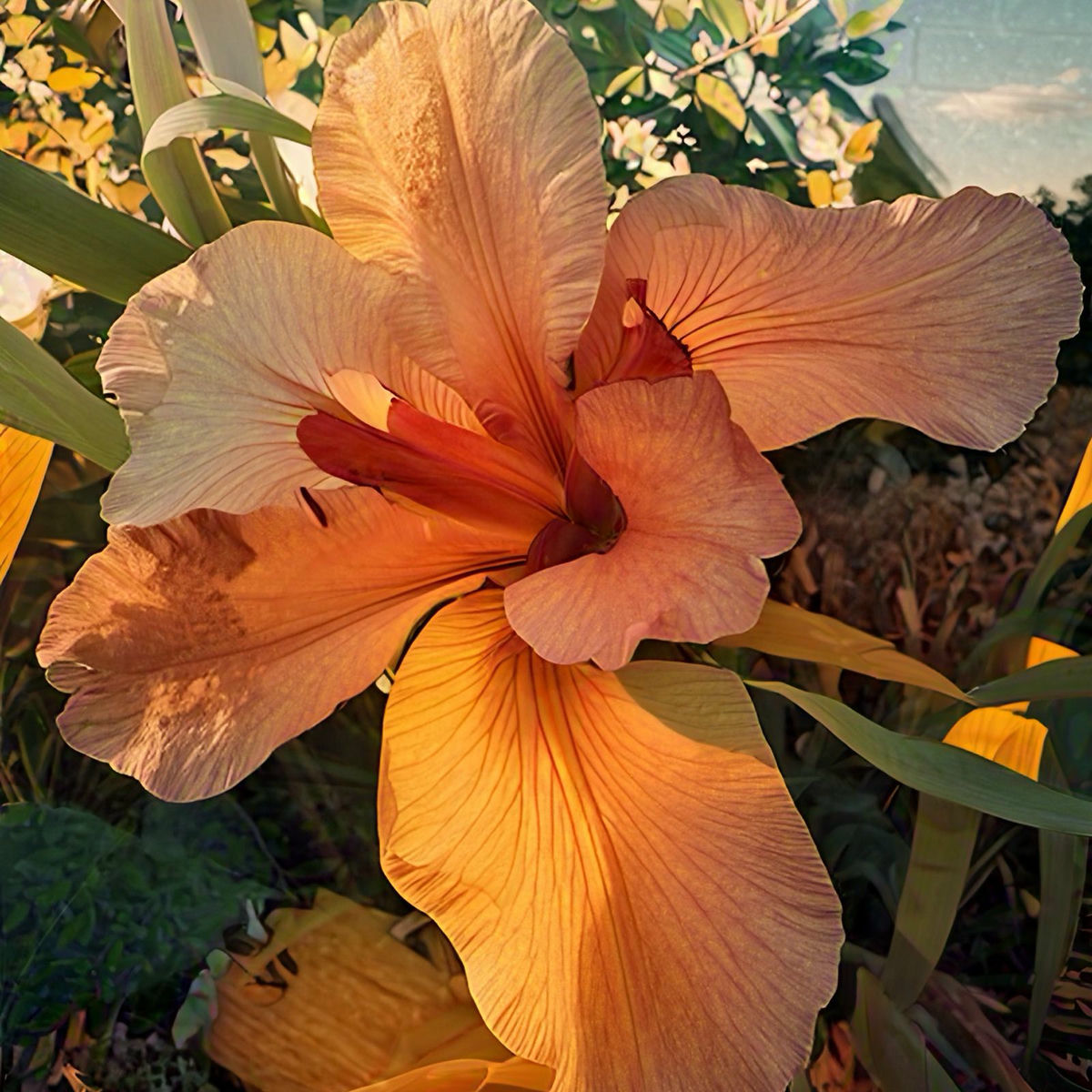 Album cover of Galore