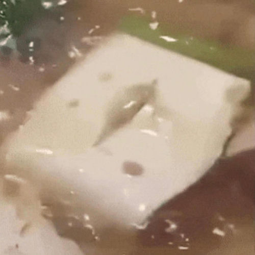 SPACE TOFU (feat. no.sbjct) artwork
