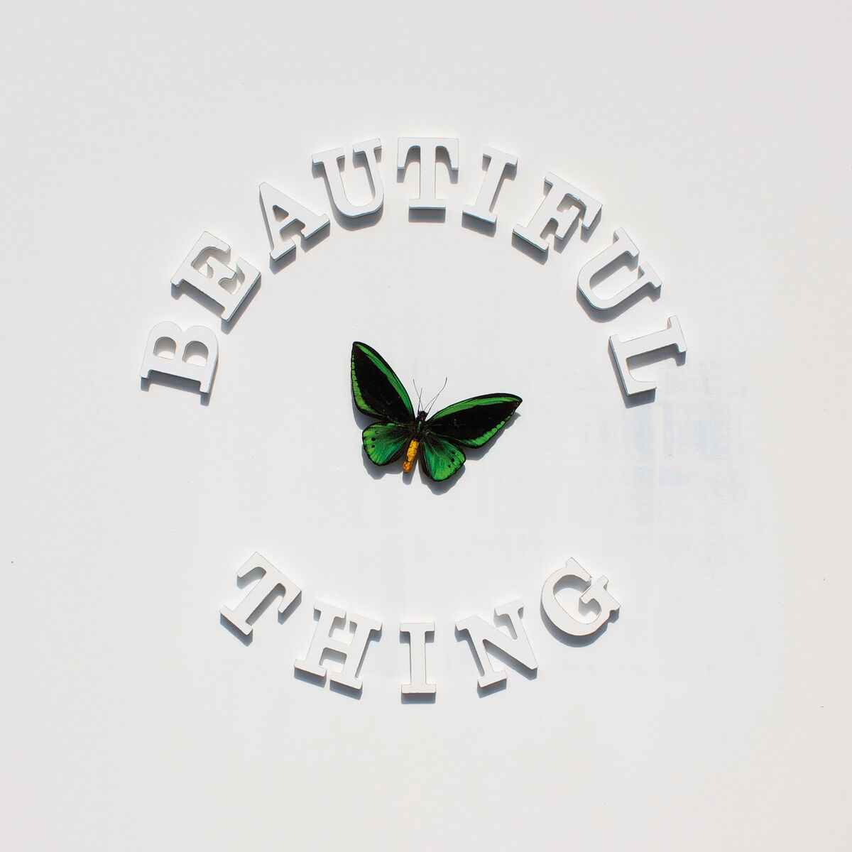Album cover of Beautiful Thing