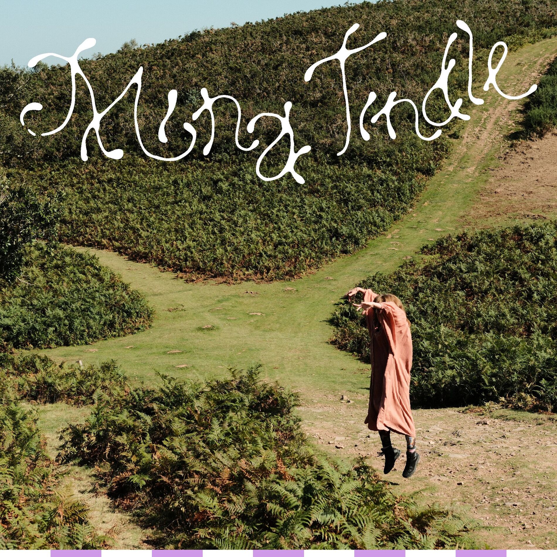 Album cover of Victoire Trésor