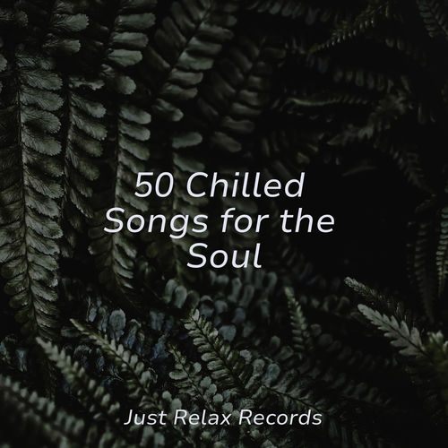 50 Chilled Songs for the Soul