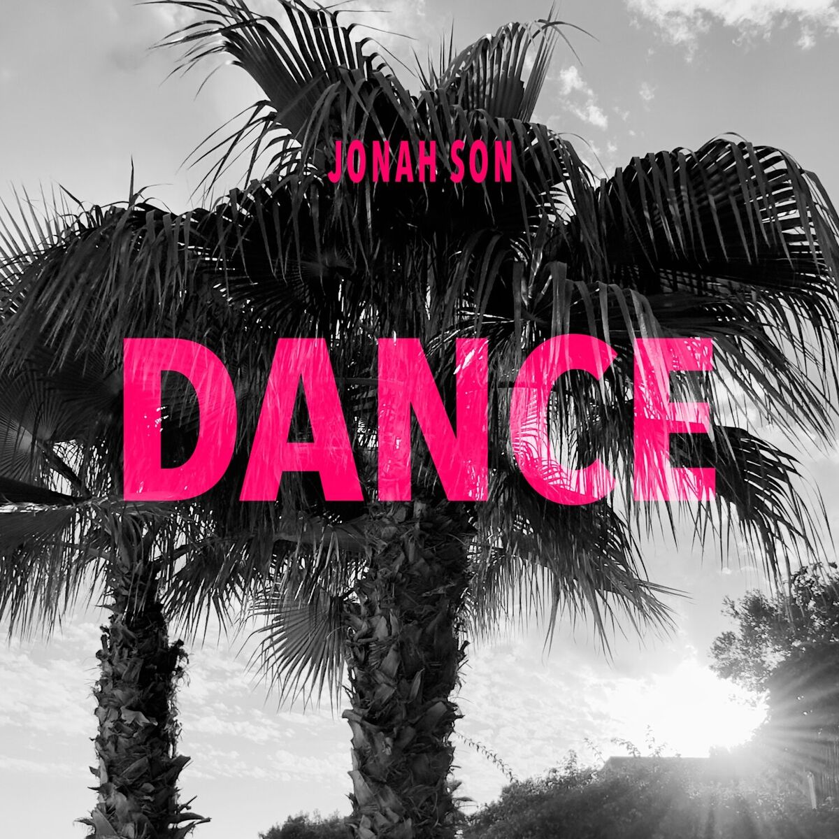 Album cover of Dance