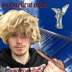 Cover of In Excellent Order