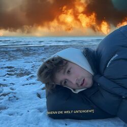 Cover of Wenn Die Welt Untergeht