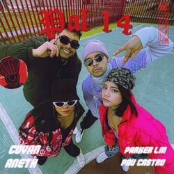 Cover of Pal 14