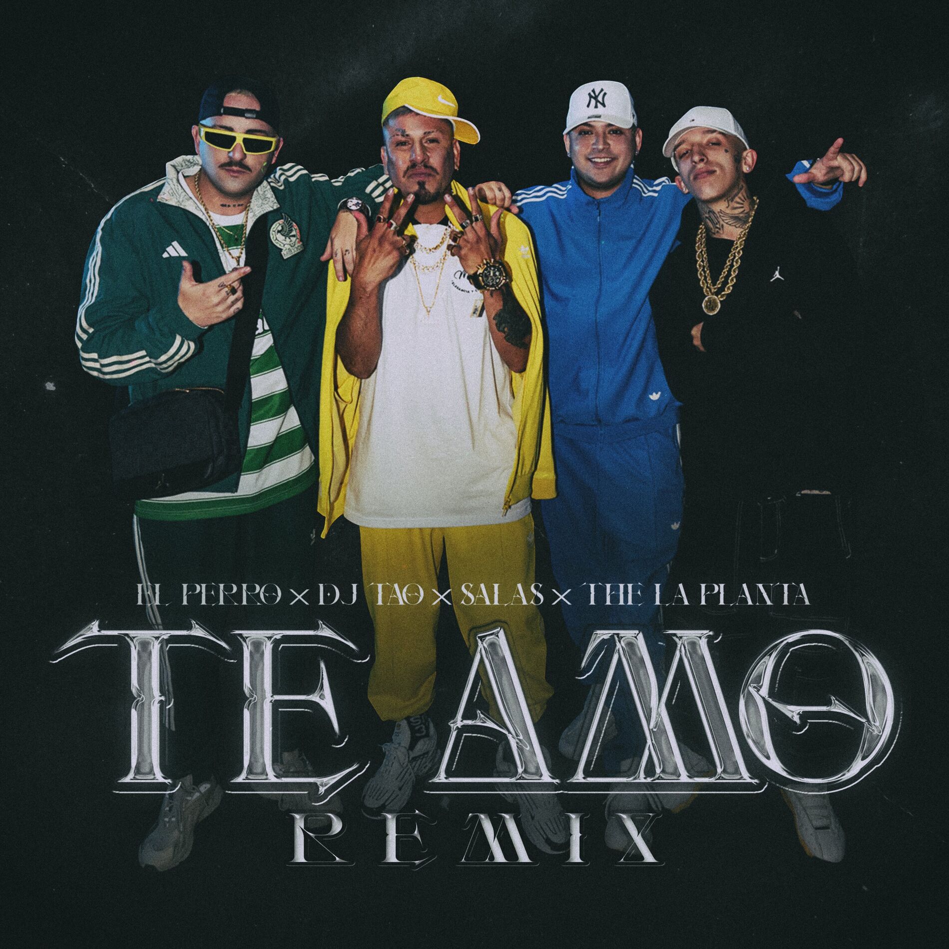 Album cover of TE AMO RMX (feat. Salastkbron)