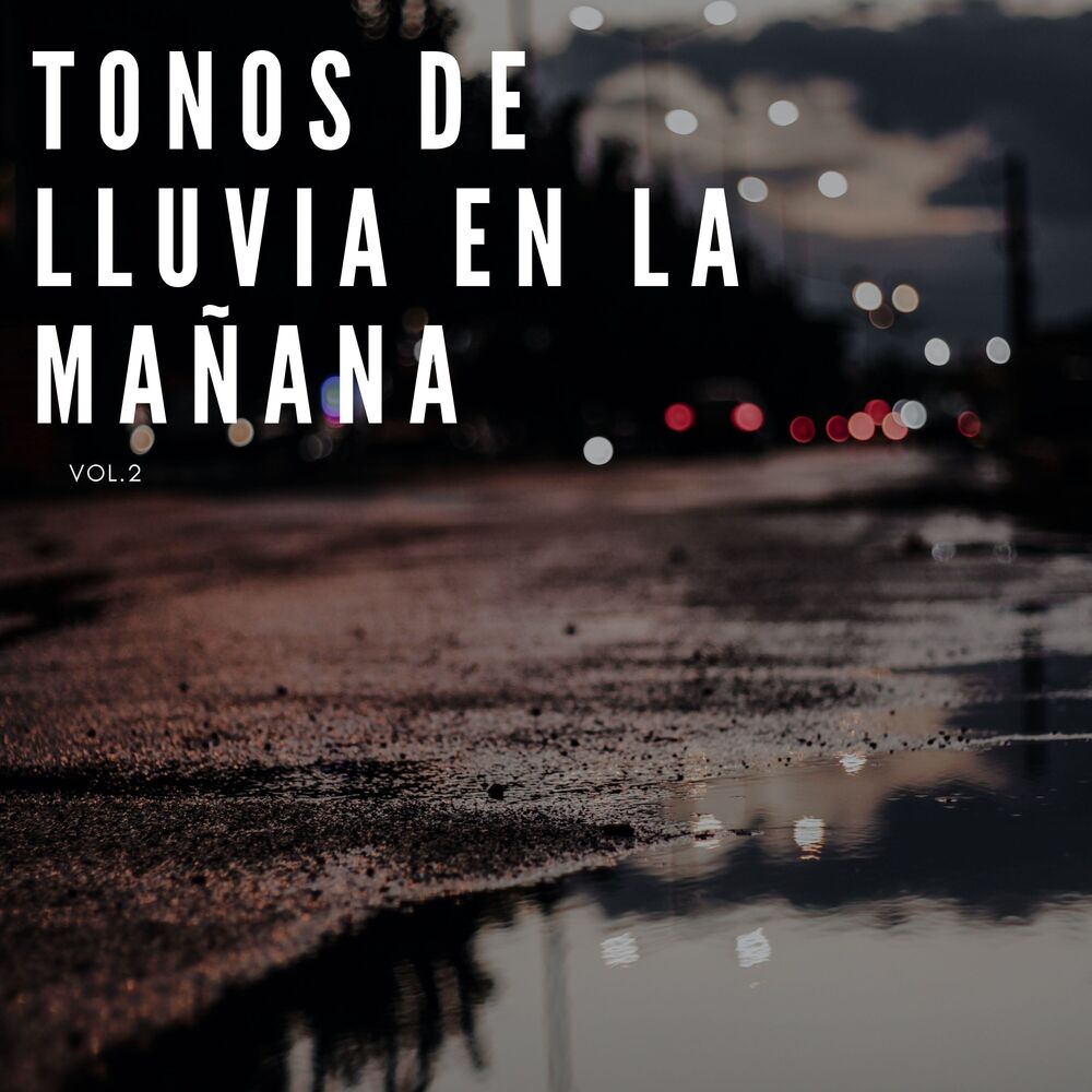 Picture of Tonos de lluvia en la mañana Vol. 2