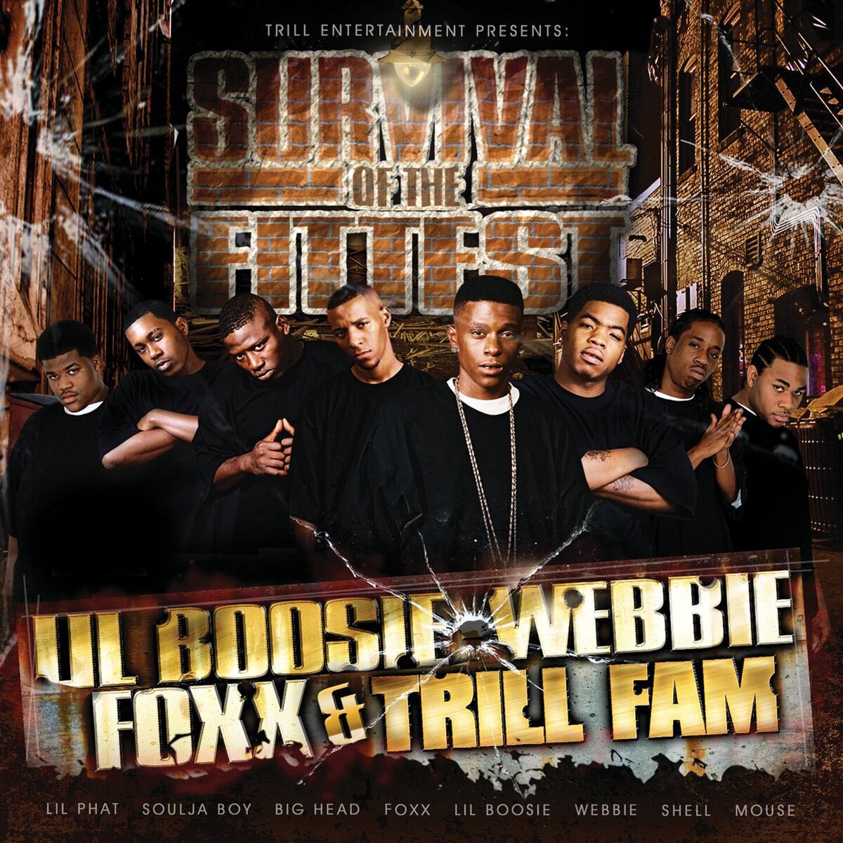 Album cover of Survival Of The Fittest