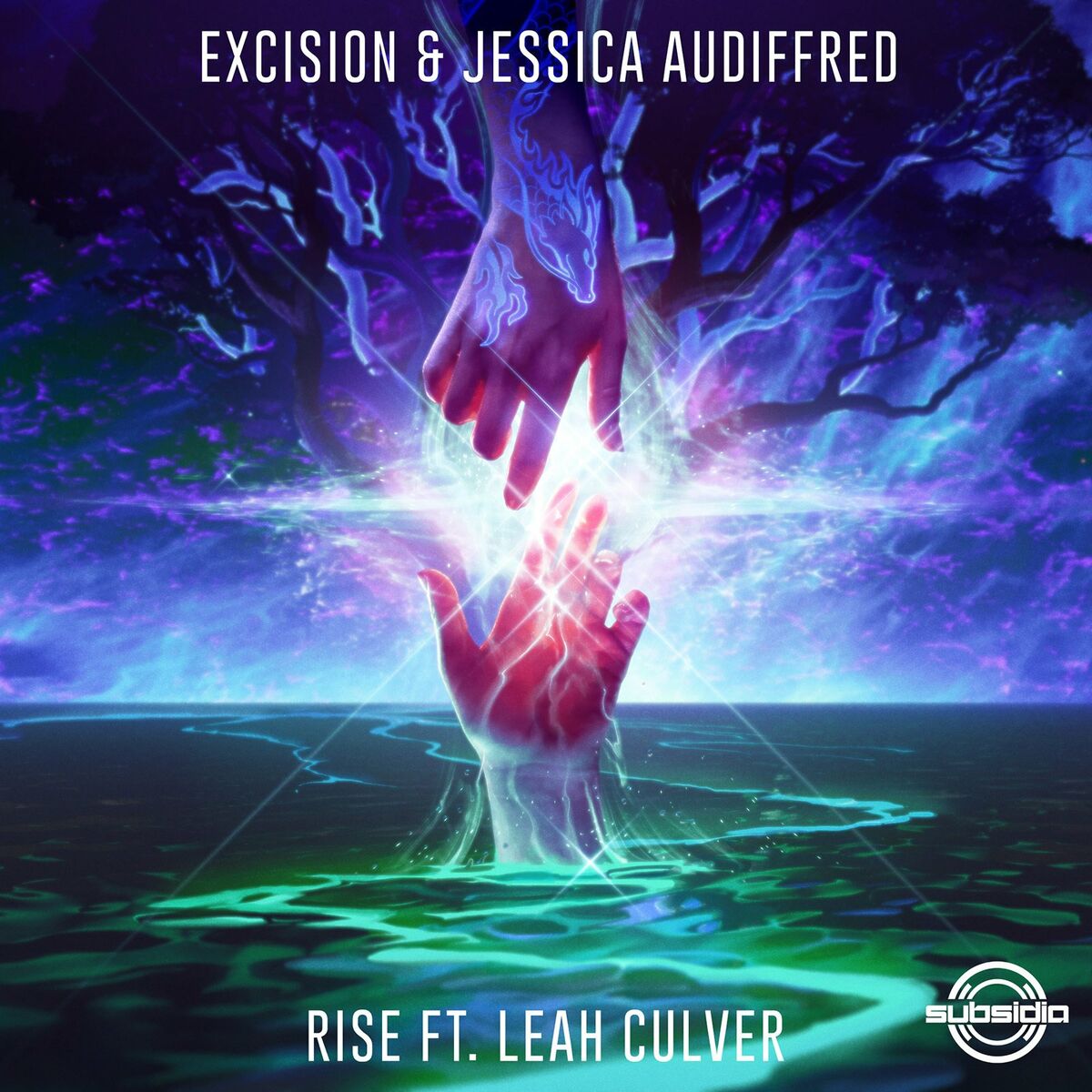 Album cover of Rise