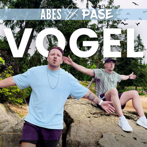 Vogel