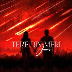 Cover of Tere Bin Meri Jaana