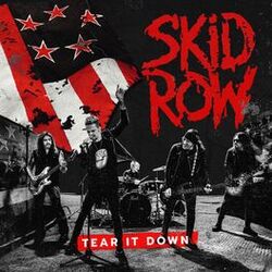 Cover of Tear It Down