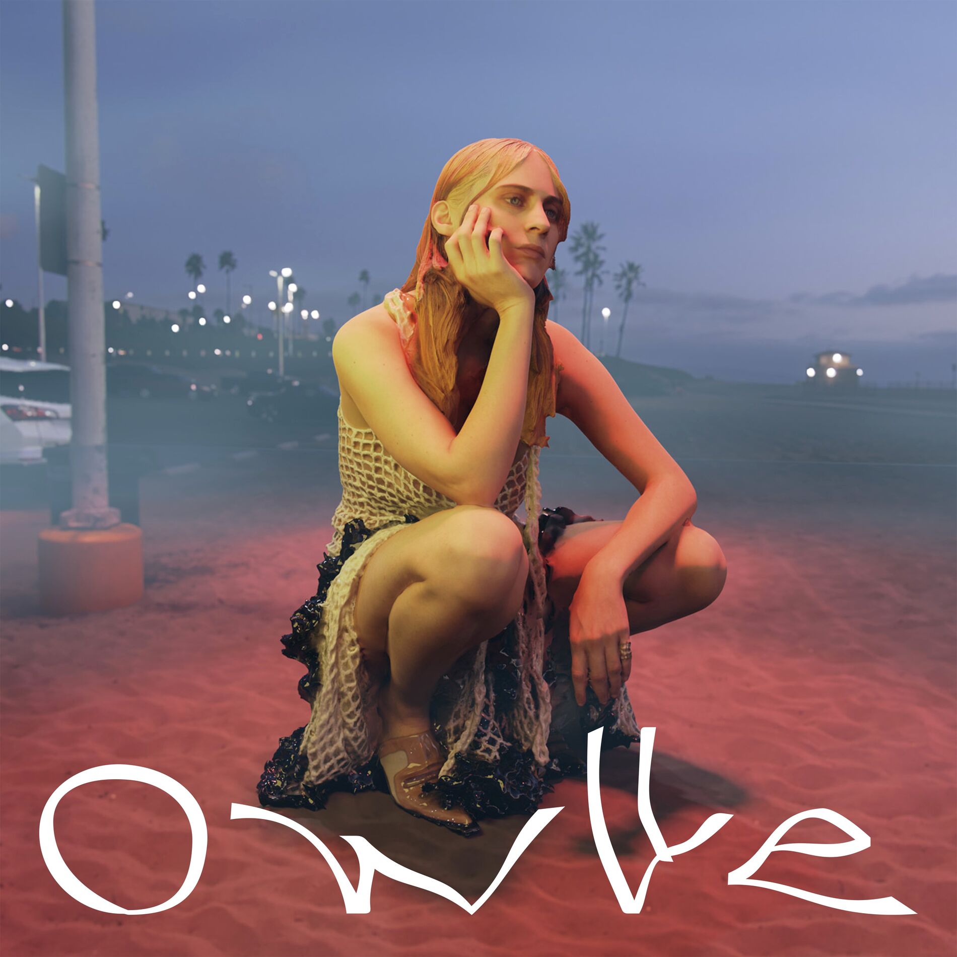 Album cover of La flemme