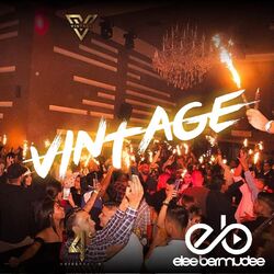 Cover of Vintage