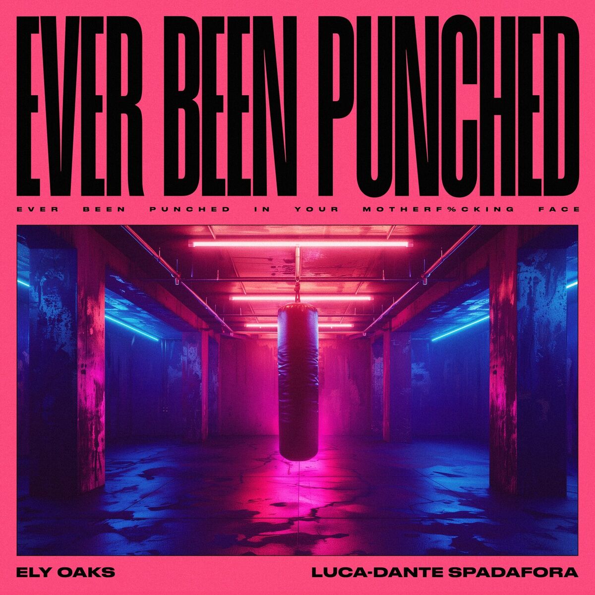 Album cover of Ever Been Punched