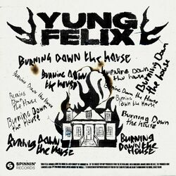 Cover of Burning Down The House