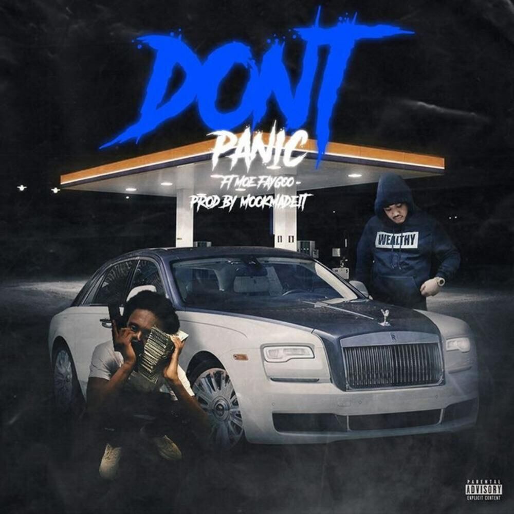 Picture of Don't Panic (feat. Moe Faygoo)