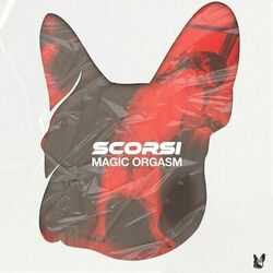 Cover of Magic Orgasm