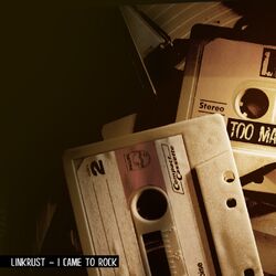 Cover of I Came To Rock