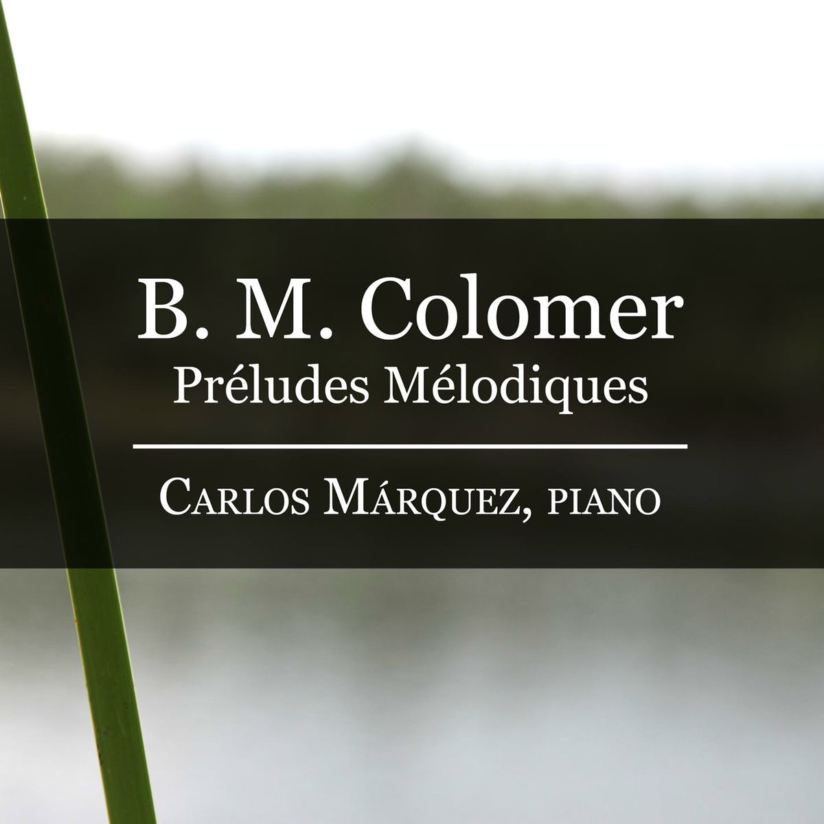 Album cover of B. M. Colomer: Préludes Mélodiques