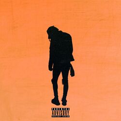 Cover of Hi