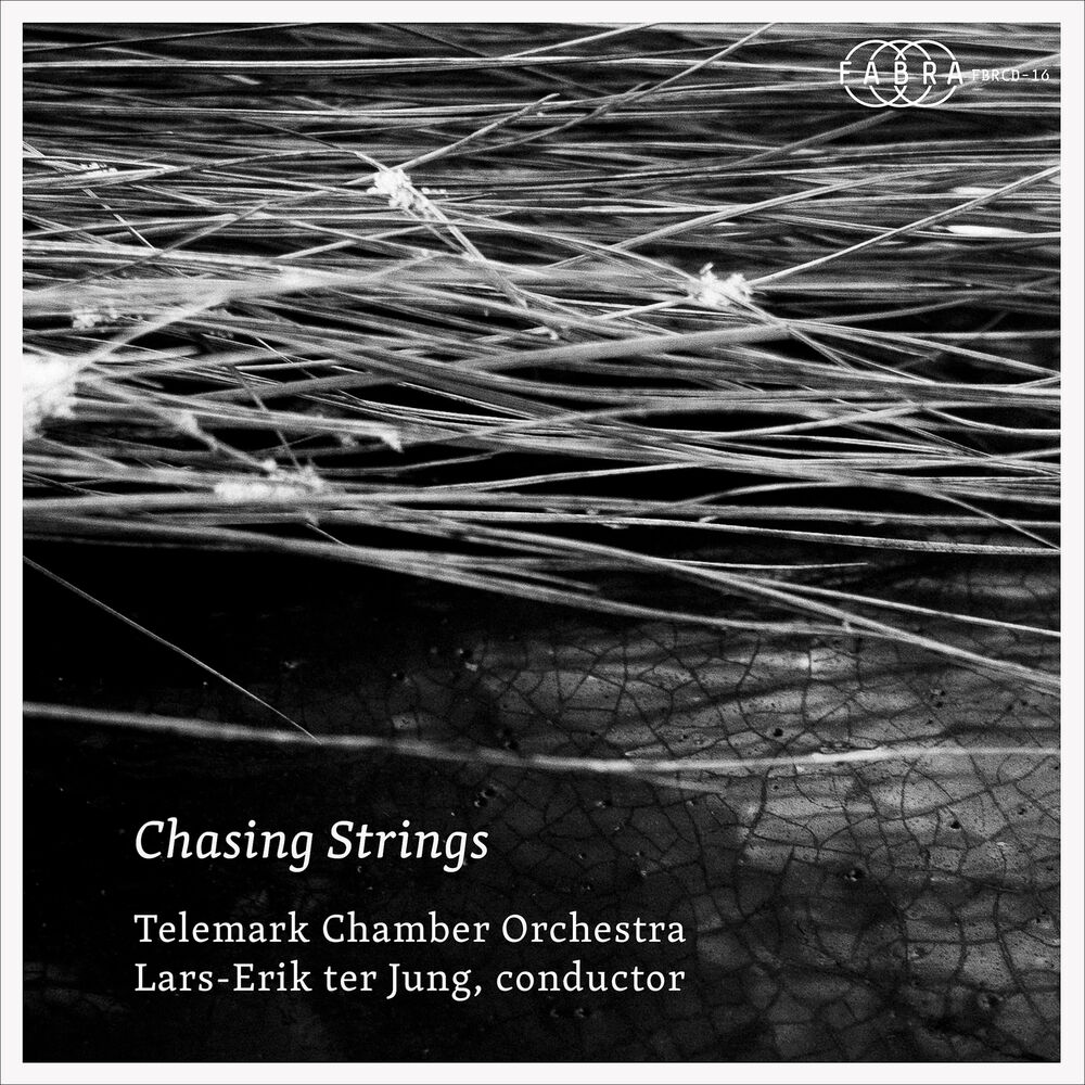 Picture of Chasing Strings
