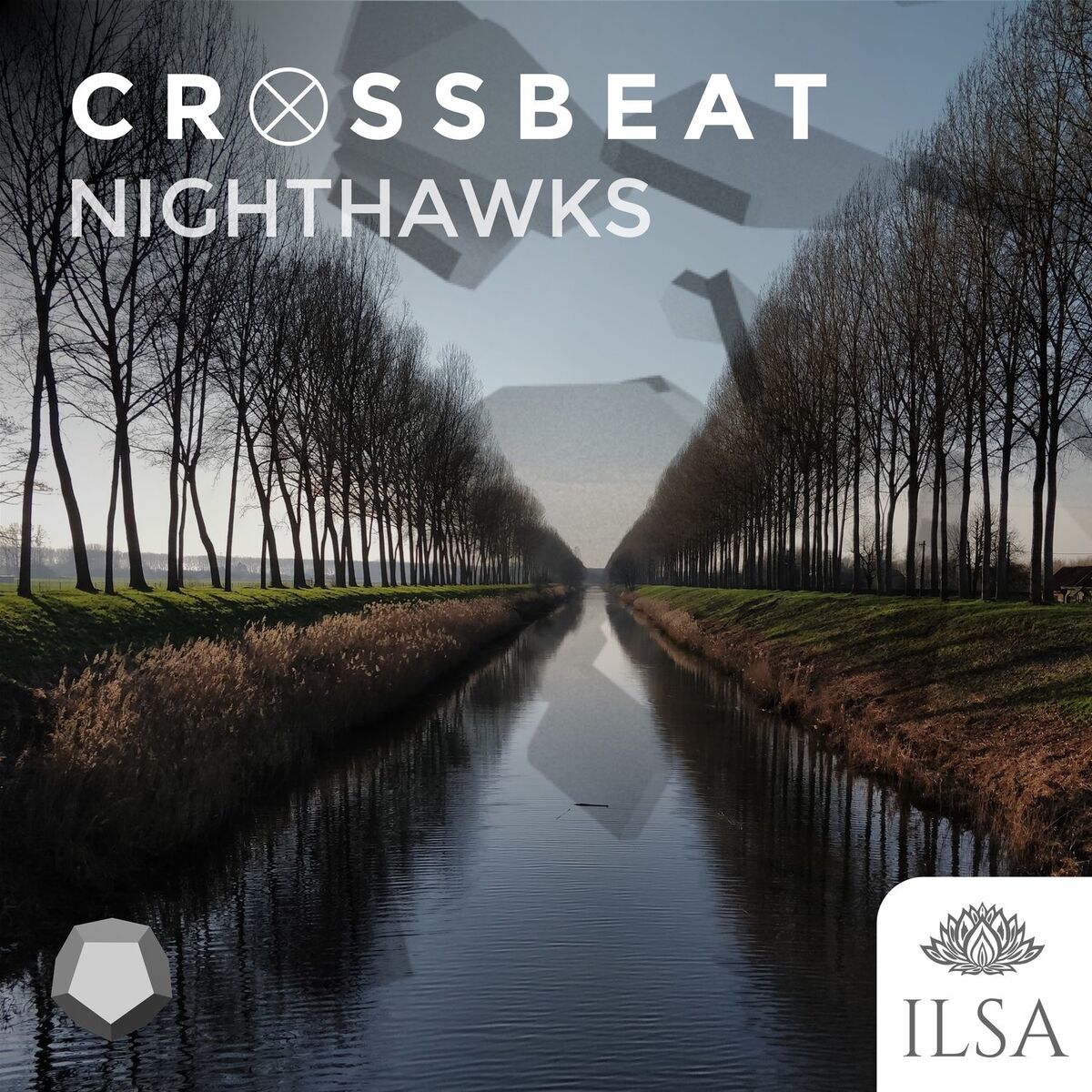 Album cover of Nighthawks